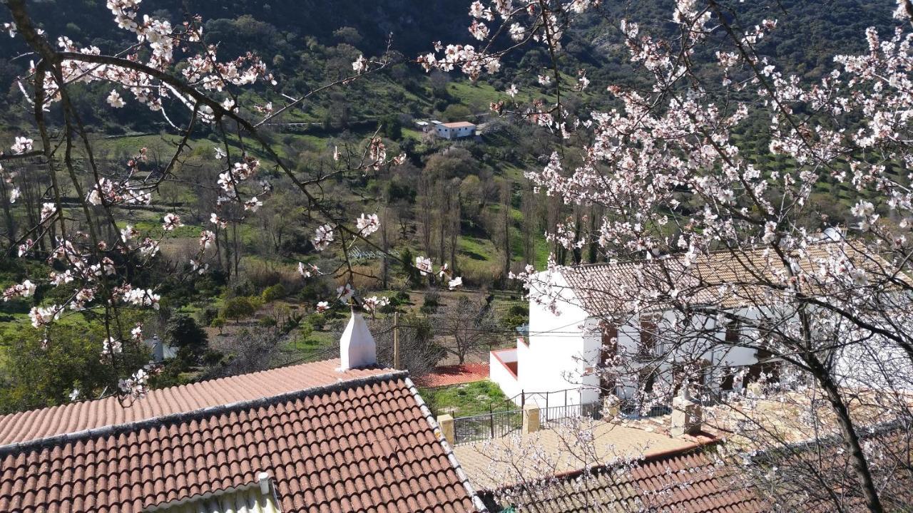 Benamahoma Rural 아파트 외부 사진